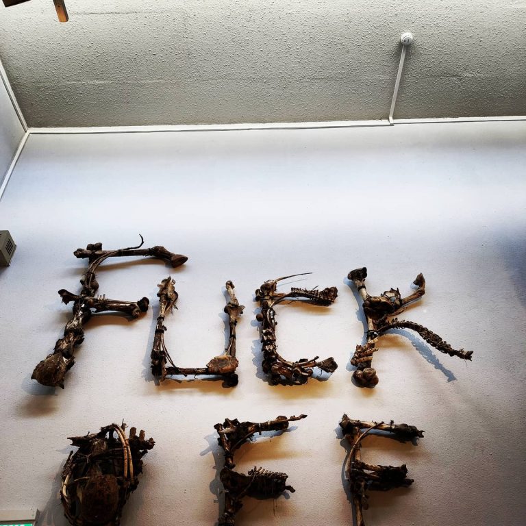 סיור צורפות, קרמיקה ואופנה בעין הוד