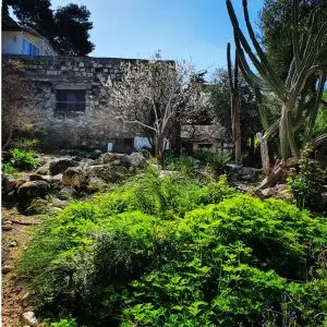 סיור צורפות, קרמיקה ואופנה בעין הוד