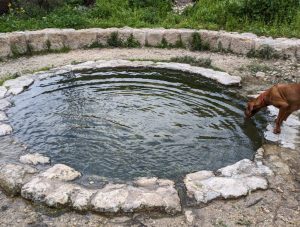 Walking tour of Wadi Sheik Haifa