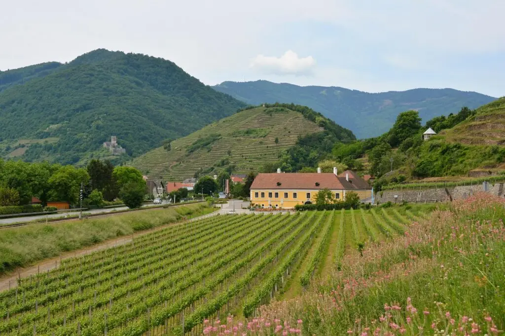 Excursión desde Viena al valle de Wachau, declarado Patrimonio de la Humanidad