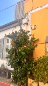 Recorrido por Neve Tzedek: el amor a la vuelta de la esquina