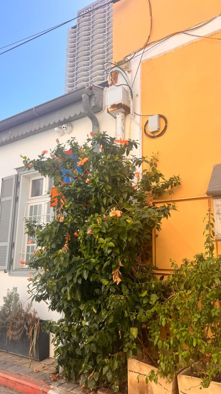 Recorrido por Neve Tzedek: el amor a la vuelta de la esquina