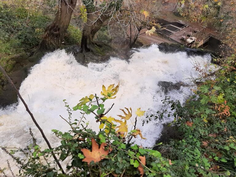 A trip to the famous Pozzar Springs and Edessa Waterfalls