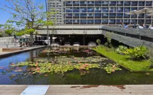 Sea, Boulevard, Square Tour | The Zionist Story of Tel Aviv, the First Hebrew City