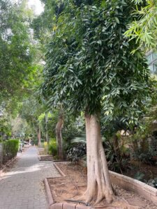 Sea, Boulevard, Square Tour | The Zionist Story of Tel Aviv, the First Hebrew City