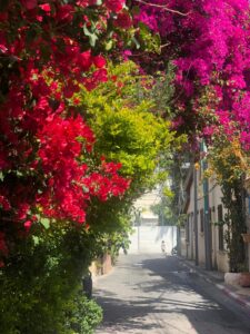Recorrido por Neve Tzedek: el amor a la vuelta de la esquina