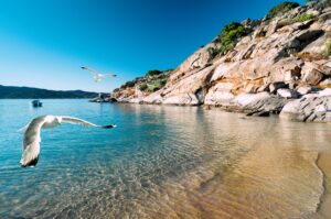A trip to the Chalkidiki Peninsula – Greece's natural gem