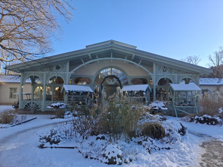 טיול יום לאלפים הוינאים - נופים הרריים ותצפיות פנורמיות