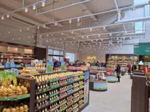 טיול יום לאלפים הוינאים - נופים הרריים ותצפיות פנורמיות