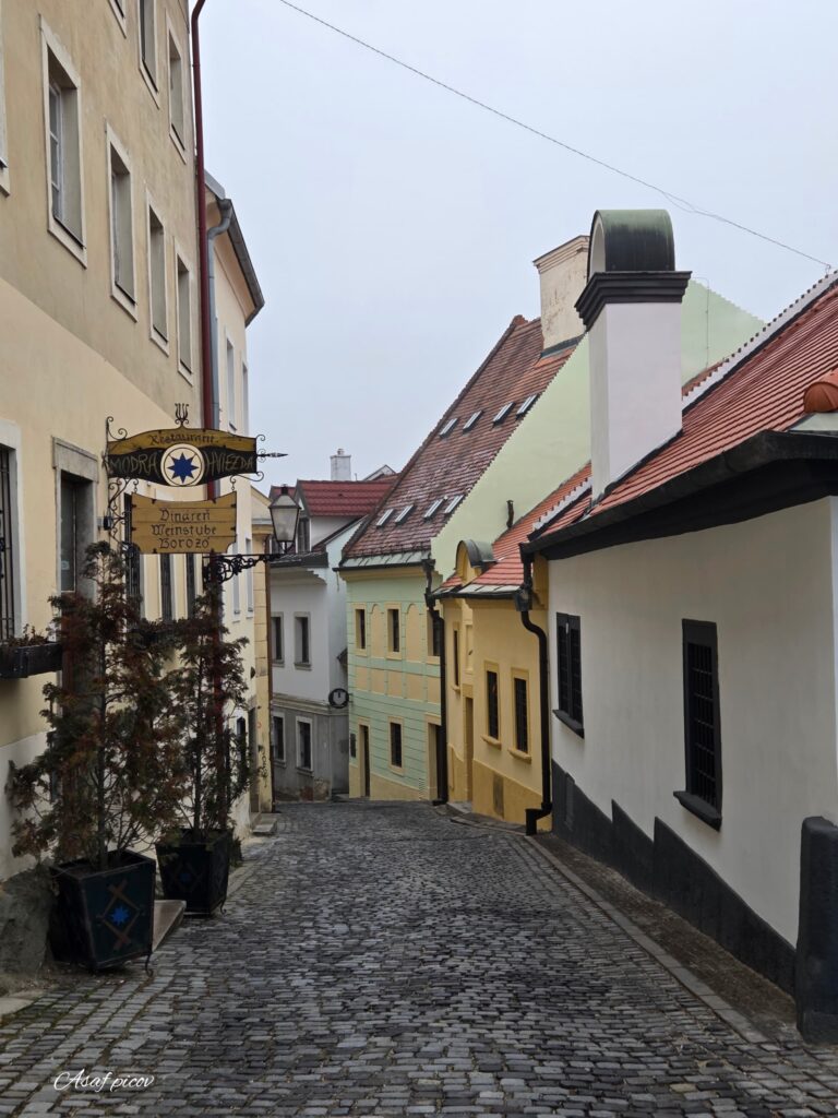 Excursión de un día desde Viena: lo más destacado de Bratislava