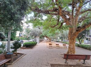 Architecture tour from Geddes to Brutalism – from Ben-Gurion Blvd. to Nordau Blvd.