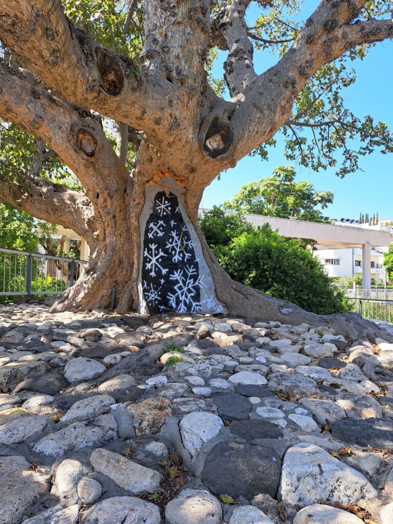Tour por el parque HaMesila – arte local en el parque